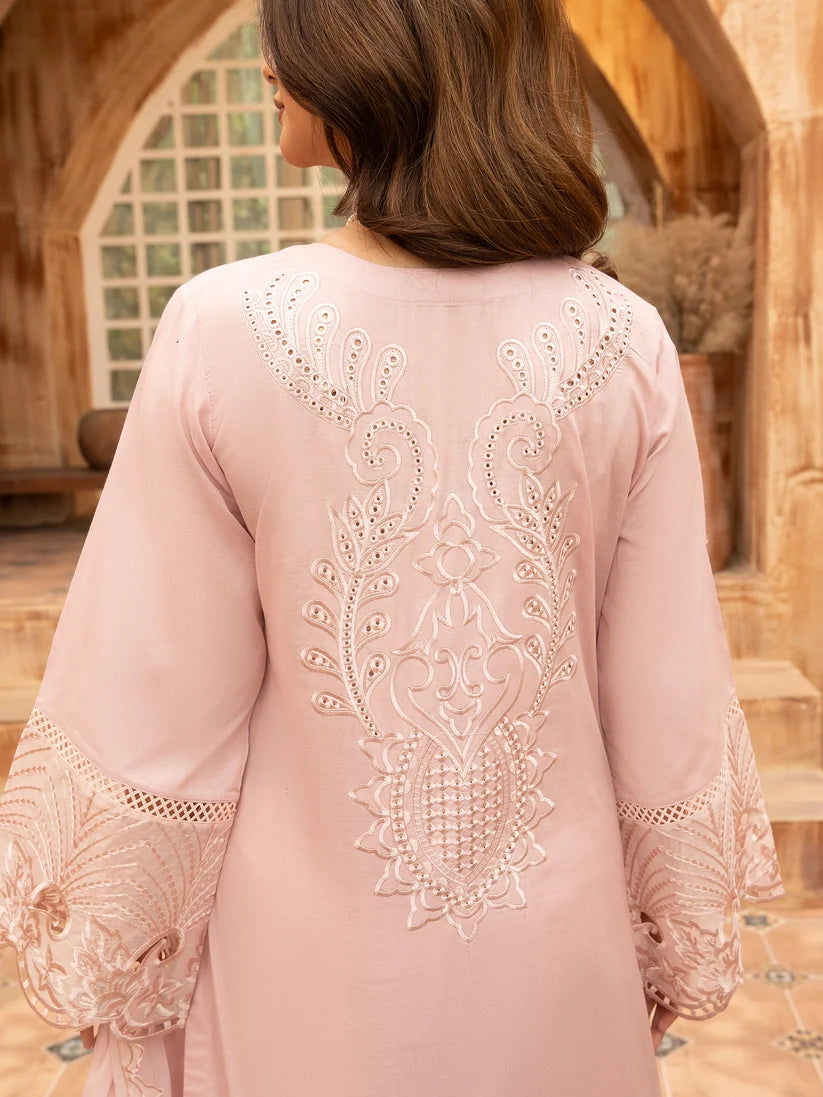 Blush Pink Embroidered 2-Piece Suit with Lace Detailing