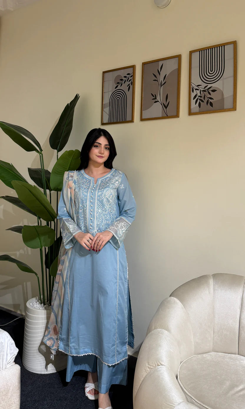 3-Piece Embroidered Linen/Khaddar Suits