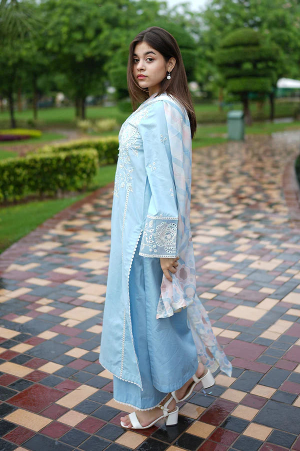 3-Piece Embroidered Linen/Khaddar Suits